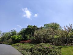 -茅山东方盐湖城景区