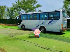 -亲兄弟真人CS团建拓展基地