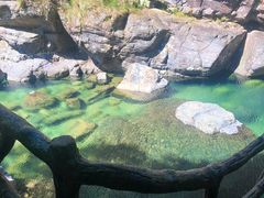 -祁门牯牛降观音堂风景区