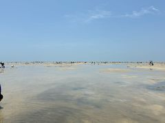 -北海金海湾红树林生态旅游区