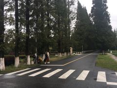 -金岛生态园烧烤露营地