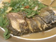 -杨厨的田园饭店(长城路店)