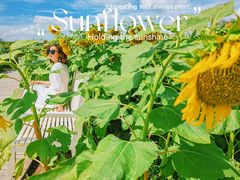 -花开海上生态园