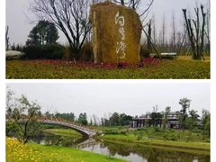 -白鹭湾湿地公园