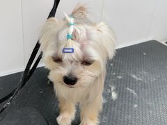 -北京恒爱动物医院(清景园分院)