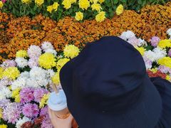 -喜茶(深圳万象城黑金店)