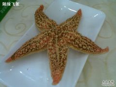 海星-海岛渔村大酒店(云霄路店)