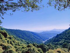 -东莞市大岭山森林公园