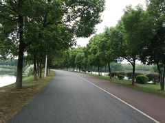 -艾溪湖湿地公园