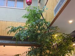 -绿草地·湘菜(酃湖师院店)