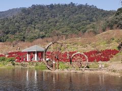 -广州市石门国家森林公园