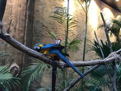 -杭州开元森泊度假乐园