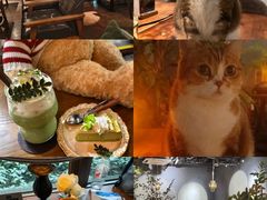 -咖法森林·咖啡  酒吧(天河店)