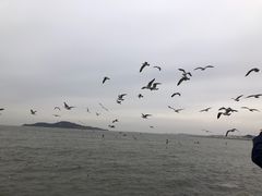 -幸福门