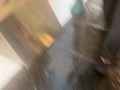 -澳门威尼斯人综合度假区