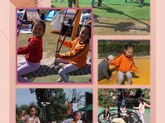 -上海市宝山星佑博爱幼儿园