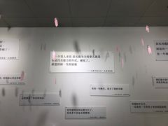 -成都失恋馆