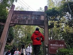 -紫金山山顶公园