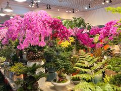 -双季花艺园艺市场(浦东店)