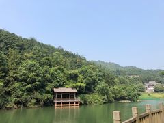 -洪崖丹井