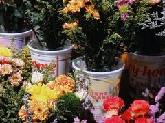 -鹿岛生活(熙地港店)