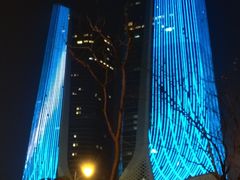 -南京国际博览中心酒店