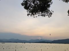 -湖滨28中餐厅·西湖宴·杭州君悦酒店