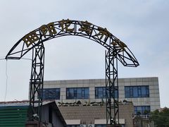 -曲阳花鸟市场(曲阳路店)