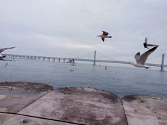 -星海广场
