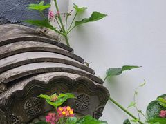 -十八棵（老龙井）御茶园(老龙井店)