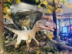 -湖南省地质博物馆