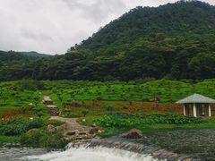 -广州市石门国家森林公园