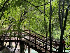 -广州白江湖森林公园