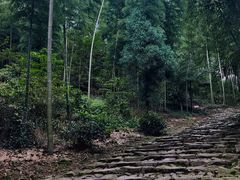 -仙霞关景区