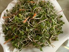 -青岛锅贴(四流中路店)