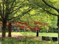 -黄公望隐居地