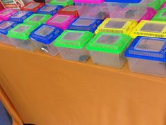 -小天才步步高(泰禾广场旗舰店)