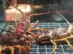 -璞御·海鲜·雪花牛肉局(宾水西道店)