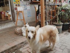 -豆舞咖啡(民乐路店)