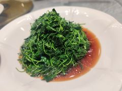 -同济大酒店(绿宝广场店)