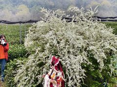-中国茶叶博物馆(双峰馆区)