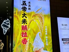 -野人先生现做冰淇淋(北京顺义祥云小镇店)