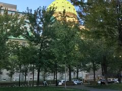 -圣母世界之后主教座堂