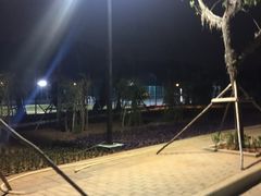 -金鸡岭桥头公园