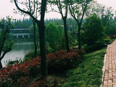 怡沁园度假村-上海怡沁园度假酒店