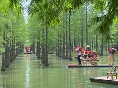 -泗洪洪泽湖湿地景区