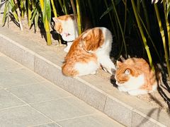 -北京颐和宾馆