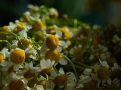 -甜阿姨·天台花园私房菜(万松园店)