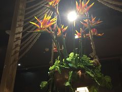 -云海肴·汽锅鸡·云南菜(天津国金汇店)