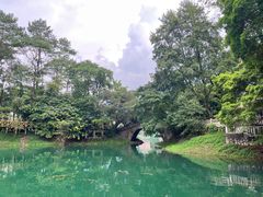 -广州市流溪河国家森林公园